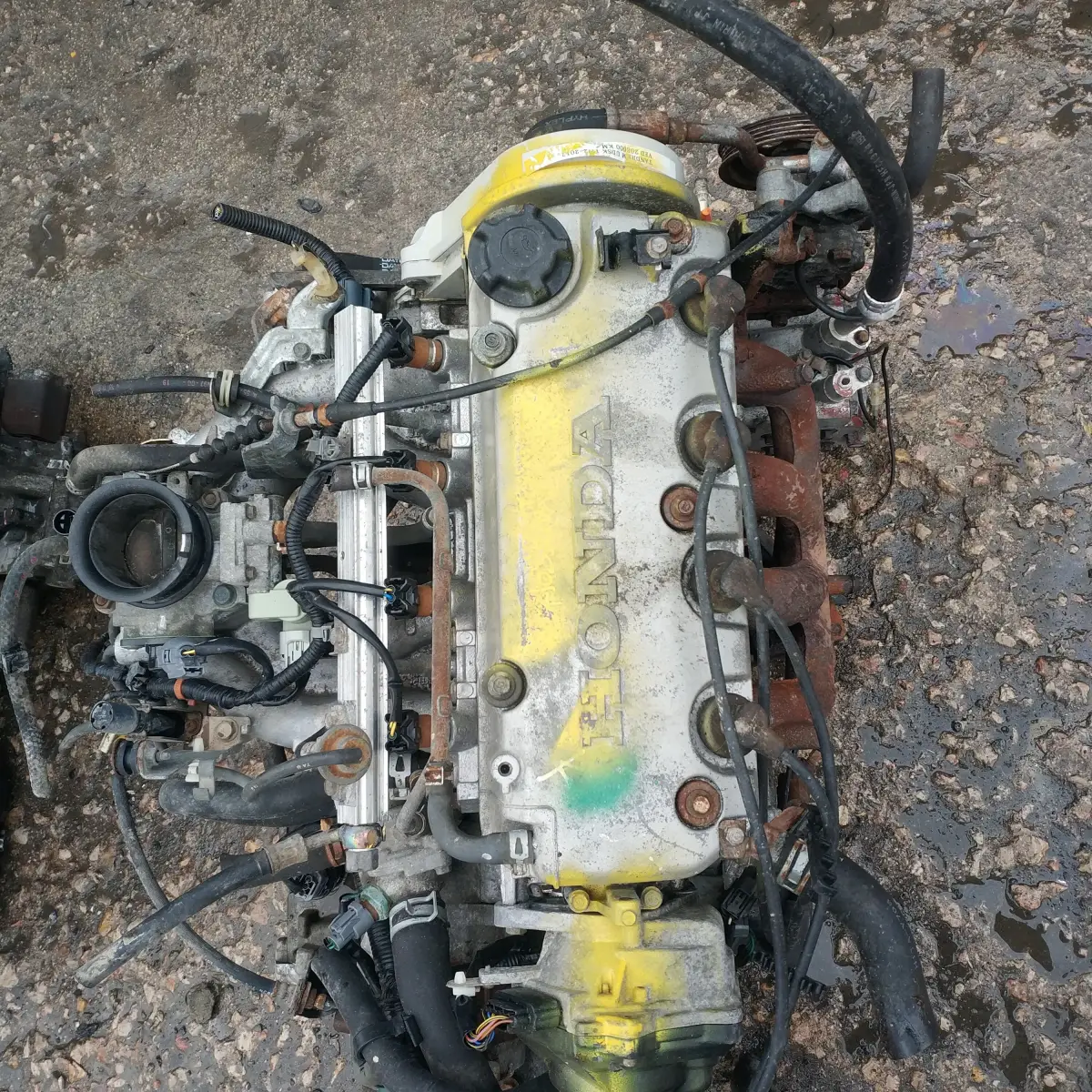 Honda Euro Civic 1,4 is Çıkma Motor (D14A4) - Honda Çıkma Motor